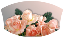 DNSWILL 062 Bouquet Of Roses Peach